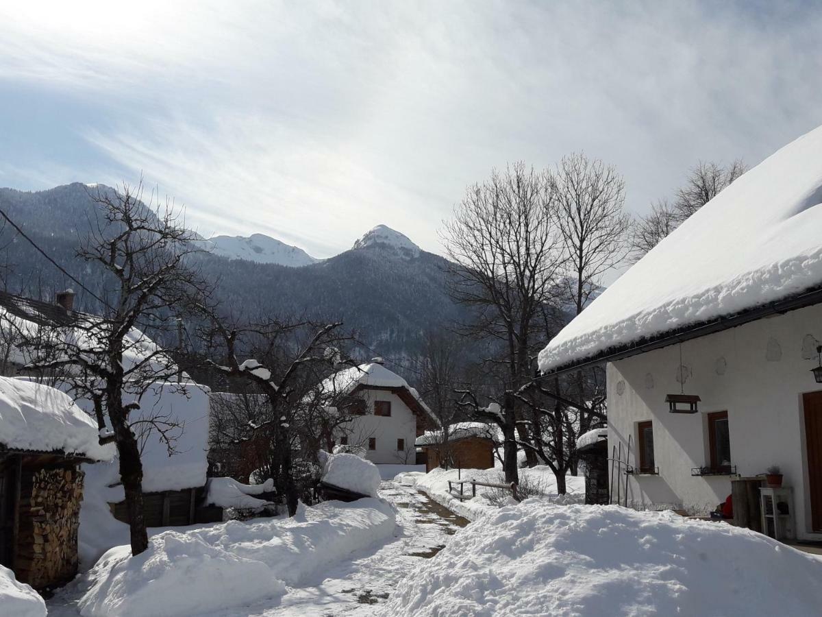 Snezak Apartment Bohinj Exterior foto